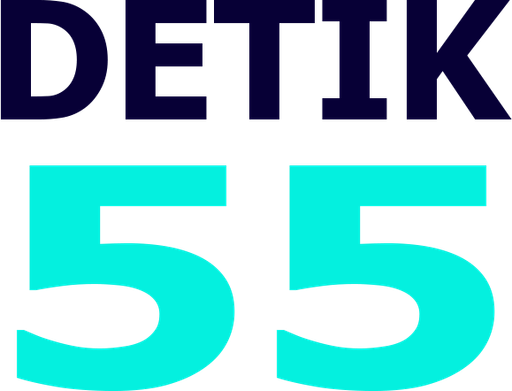 detik555.info Logo